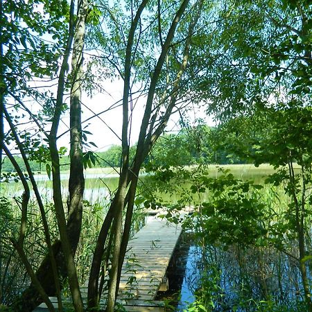 Siedlisko Agroturystyczne Vila Mrągowo Exterior foto