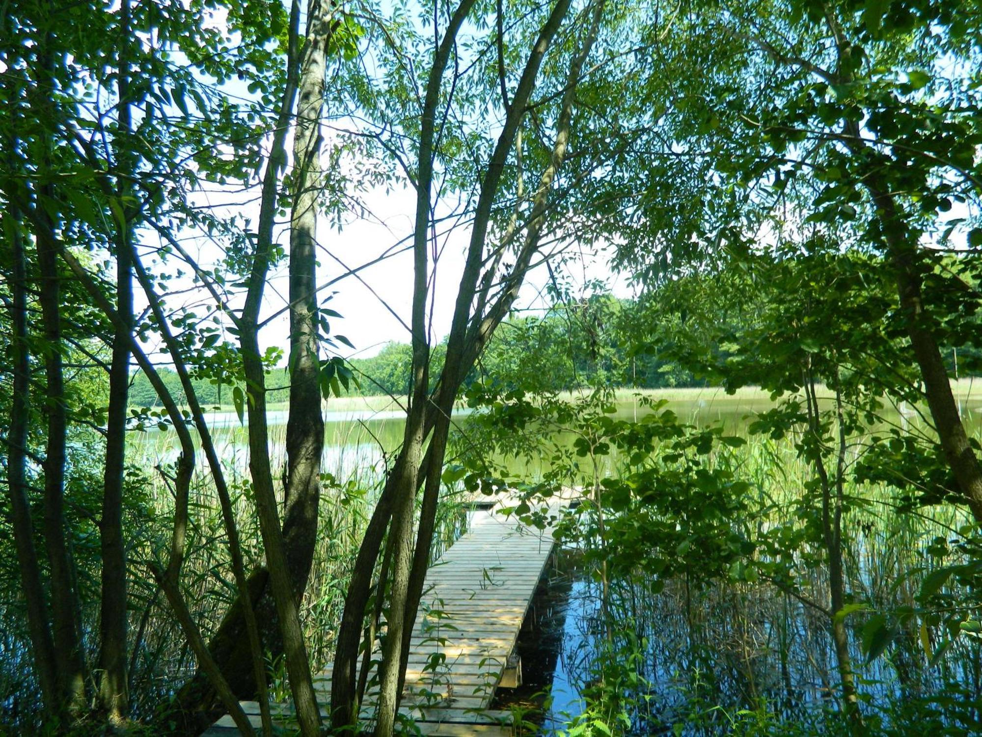 Siedlisko Agroturystyczne Vila Mrągowo Exterior foto